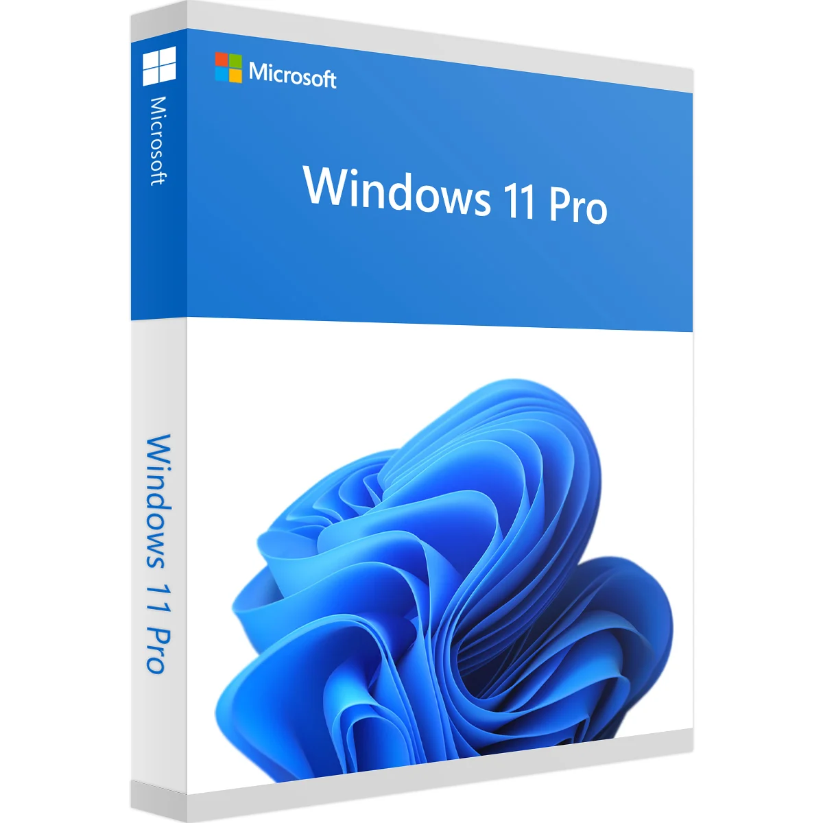 Windows 11 Professional Digital License Windows 11 Professional Digital License